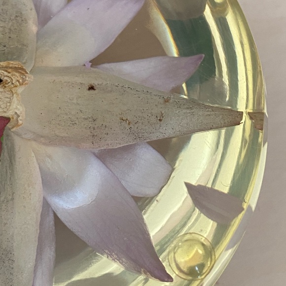 Vintage Lucite Dried Flower Domed Desk Paperweight Clear Plastic Acrylic Decor - Picture 5 of 14